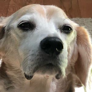 Meet your Posher, Katherine